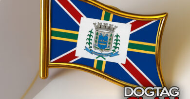 Pin de lapela personalizado com a bandeira de Governador Valadares em aço inox