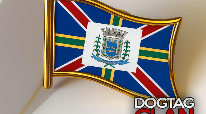 Pin de lapela personalizado com a bandeira de Governador Valadares em aço inox