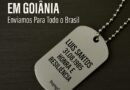Dog tag personalizada em aço inox com gravação e corrente de bolinha – DogTagClan Goiânia.