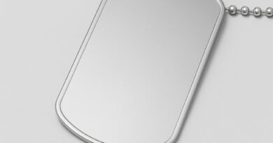 Placa dog tag lisa em aço inox com corrente — peça em branco para personalização