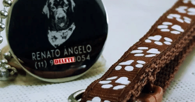 “Dog tag para pets personalizada em aço inox mostrando modelo de pingente com nome do cachorro e telefone do dono gravados pela DogTagClan – www.dogtagclan.com.br”