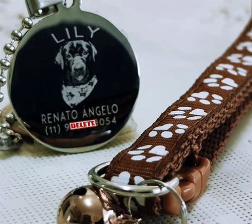 “Dog tag para pets personalizada em aço inox mostrando modelo de pingente com nome do cachorro e telefone do dono gravados pela DogTagClan – www.dogtagclan.com.br”