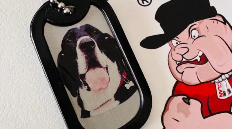 dog tag personalizada armada com gravação em aço inox, modelo militar com corrente de bolinha e acabamento resistente