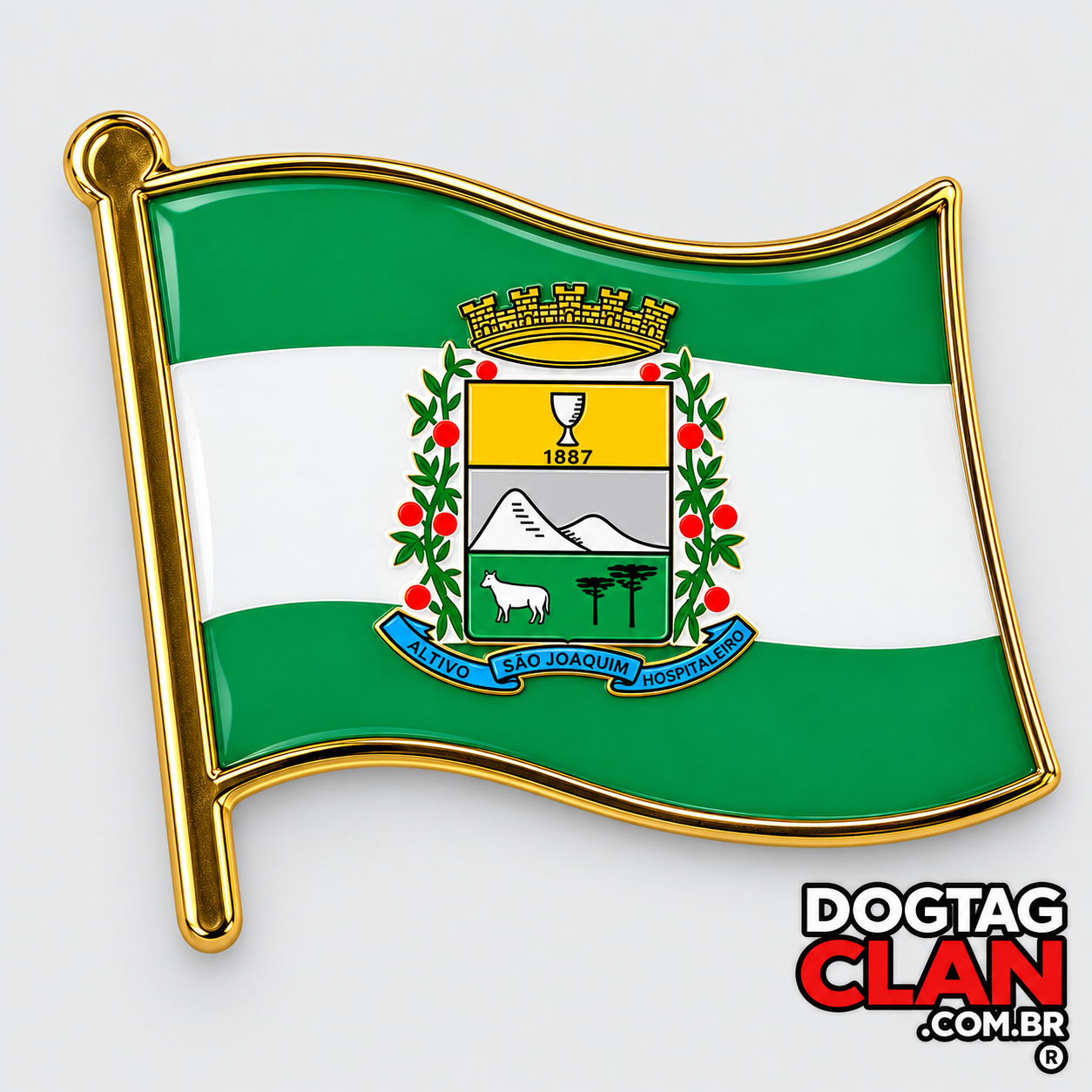 Pin Bandeira são joaquim hospitaleiro SC