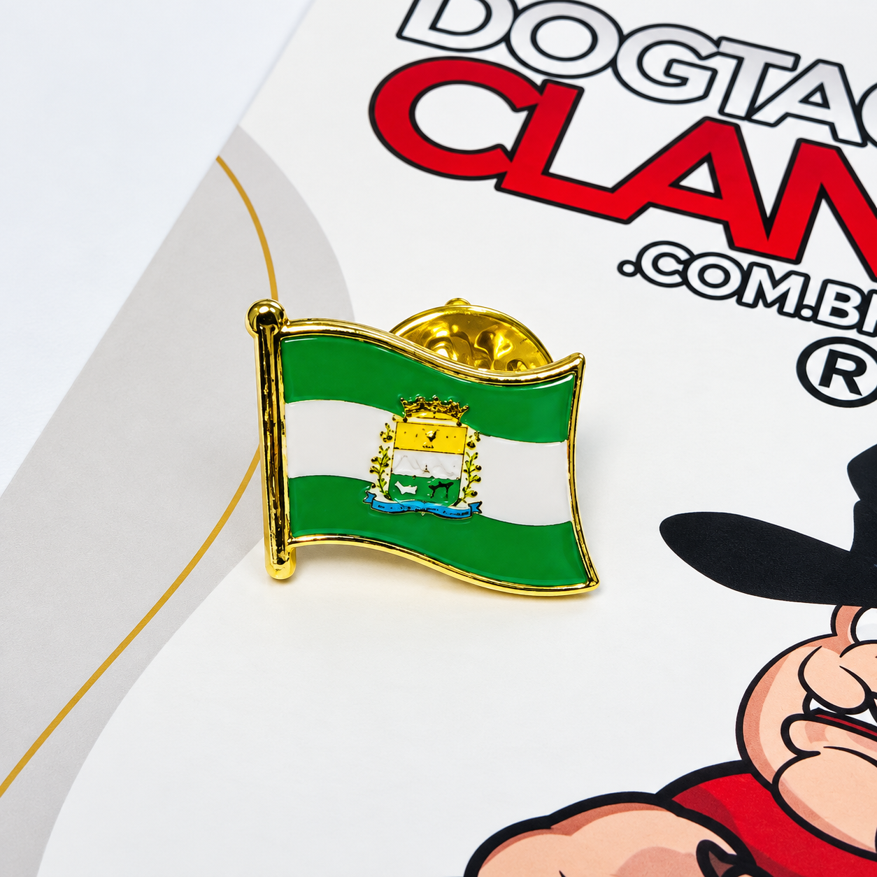 Pin Bandeira são joaquim hospitaleiro SC-1